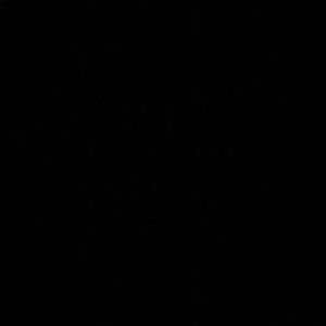 Meet your Posher, Wing